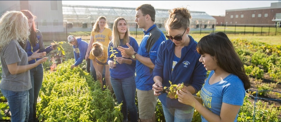 Students in a garden looking at plants.